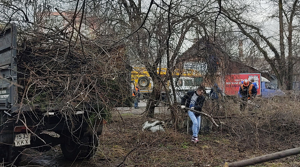 Общественники микрорайона Московский привели в порядок зеленую зону