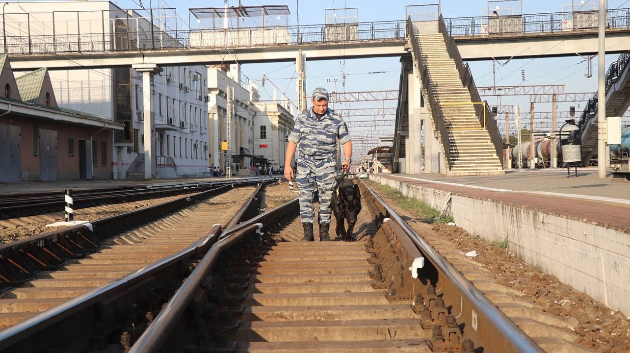 Фото: Пресс-служба администрации Краснодара