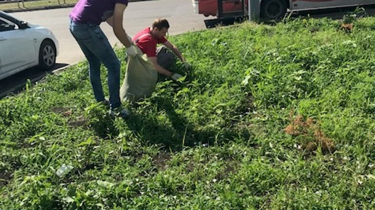 В Западном округе продолжаются санитарные субботники