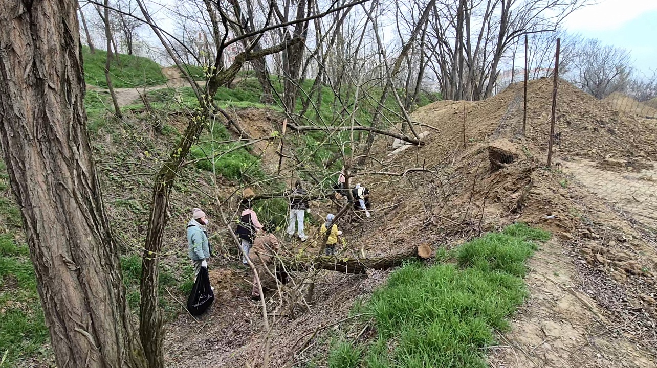 Фото: городская Дума Краснодара