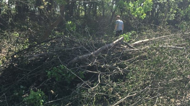 К новой школе в микрорайоне «Губернском» Краснодара сделают тротуар и уличное освещение