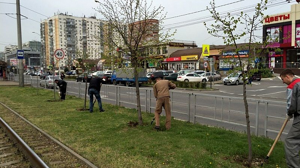 В Западном округе кипит работа по благоустройству территорий