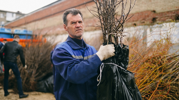 Этой осенью в Краснодаре высадят около 17,8 тыс. зелёных насаждений