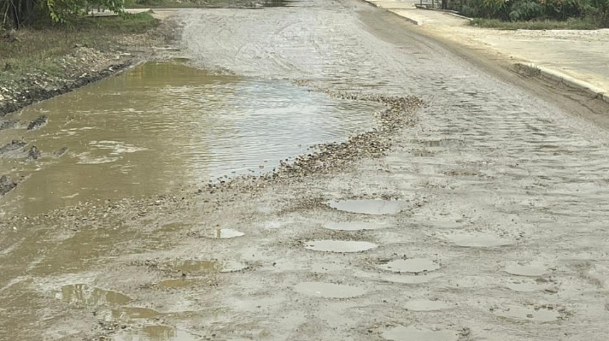 Фото: Шаблин М.С.