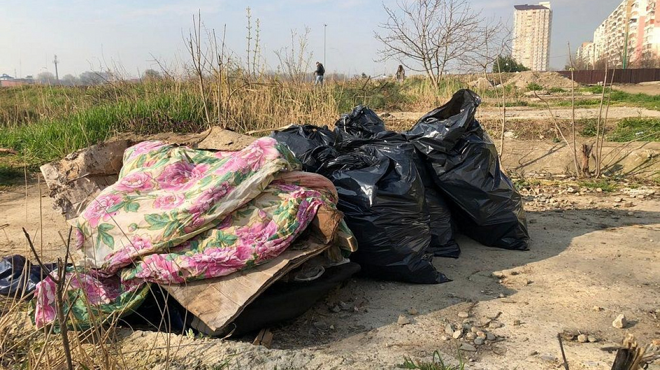 В ходе экологического флешмоба в Краснодаре очистили от мусора участок в районе сквера 80-летия образования Краснодарского края