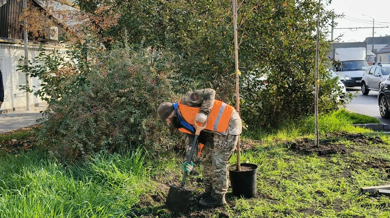 Фото: Пресс-служба администрации Краснодара