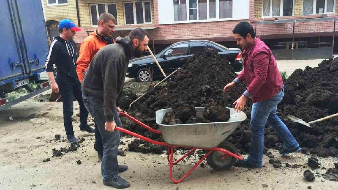 Во Всекубанском субботнике в Краснодаре приняли участие более 120 тыс. человек