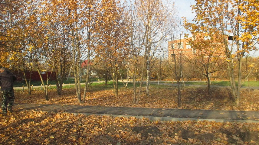 IMG_2345.JPG