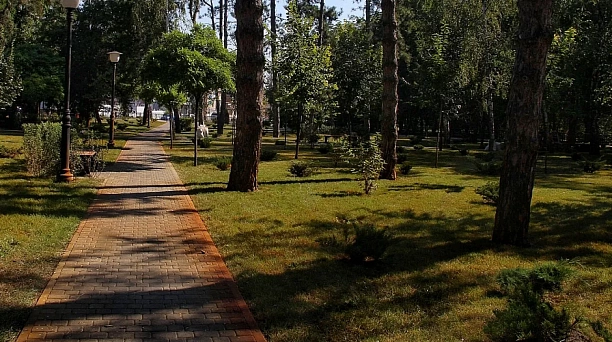 Более 25 тысяч краснодарцев проголосовали за зелёные зоны для благоустройства в 2023 году