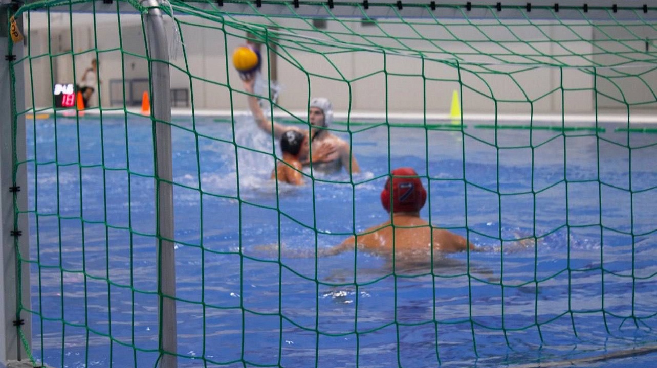 Фото: пресс-служба администрации муниципального образования город Краснодар