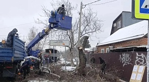 На территории Западного округа проводятся работы по уходу за зелёными насаждениями