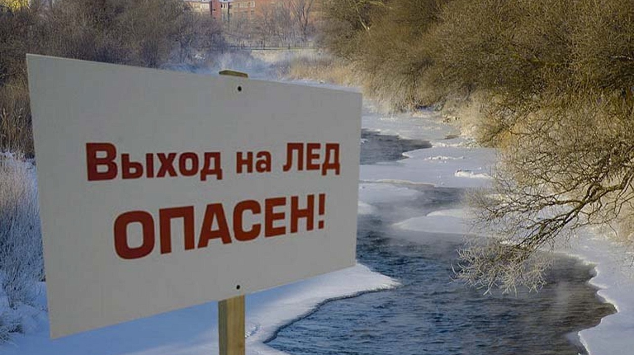 Фото: esipovskoe-r36.gosuslugi.ru