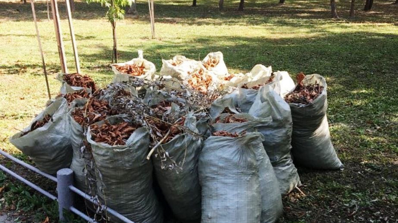 В Западном округе прошли субботники