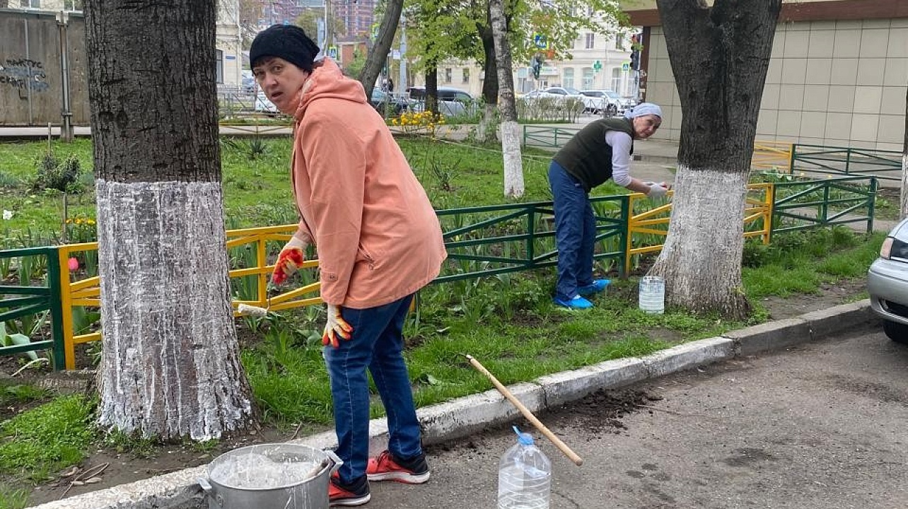 Фото: ТЦ № 36