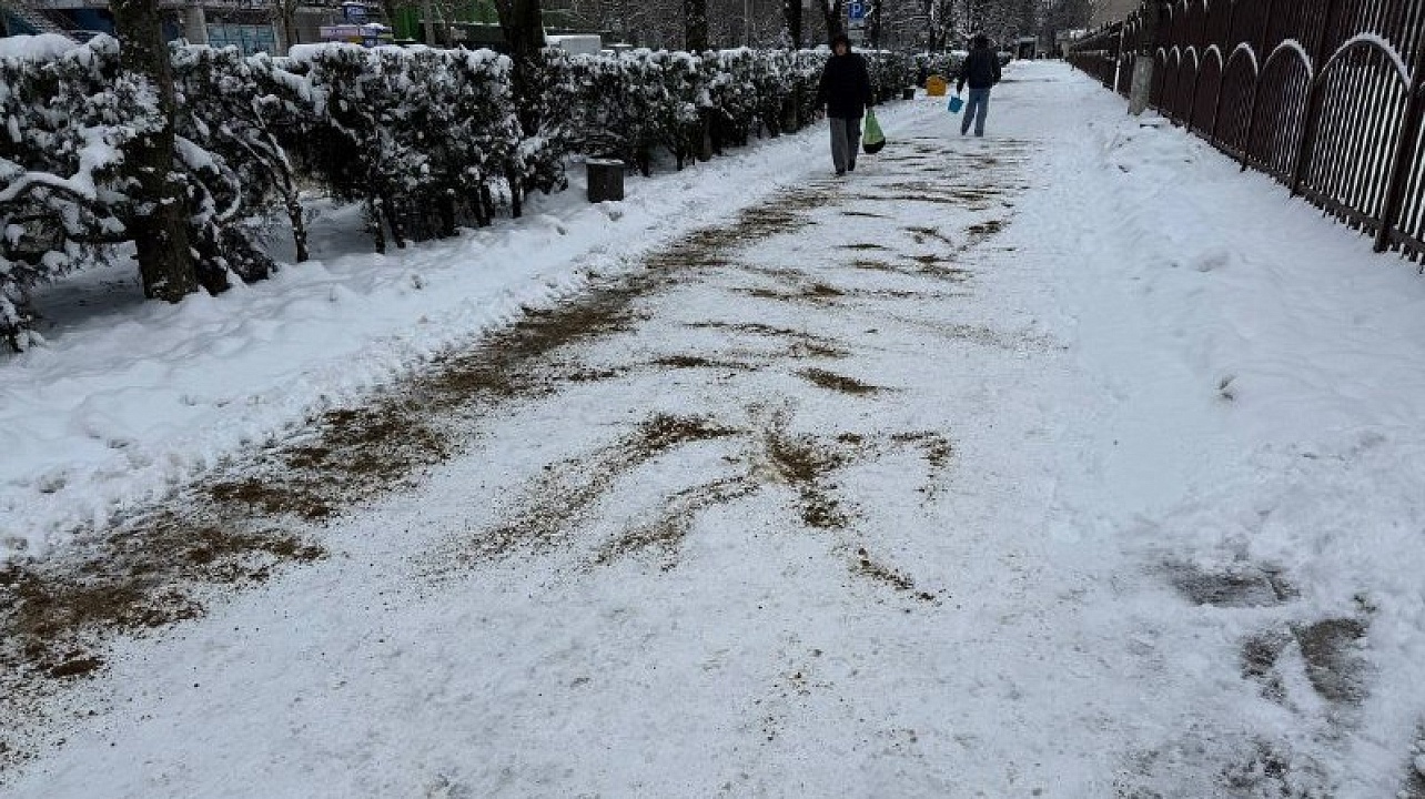 Фото: городская Дума Краснодара