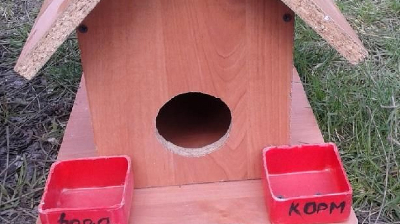 В Елизаветинской провели акцию «Покормите птиц»