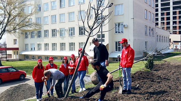 На Аллее спорта Краснодарского государственного института культуры высадили новые деревья