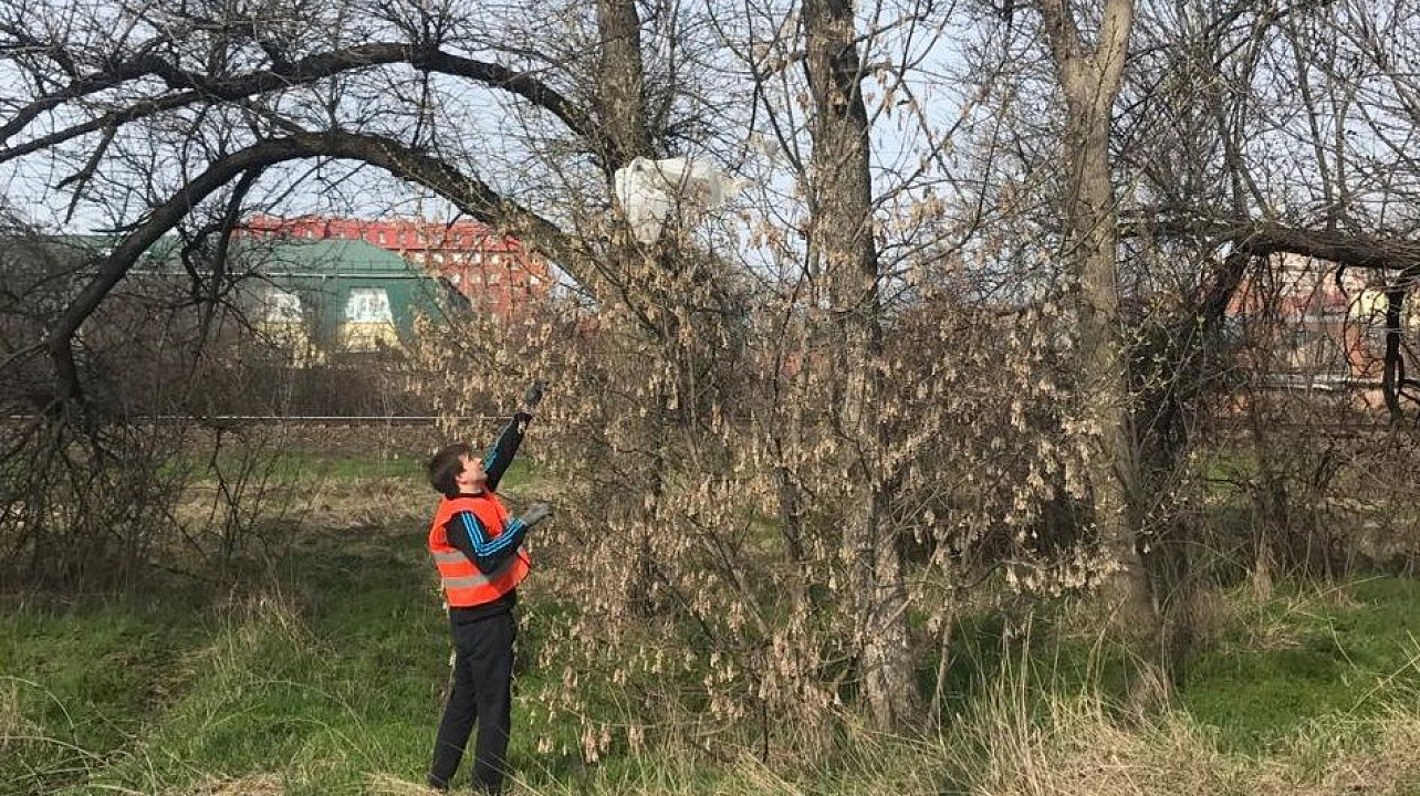 В рамках челленджа #trashtag в Краснодаре очистили от мусора участок Ростовского шоссе