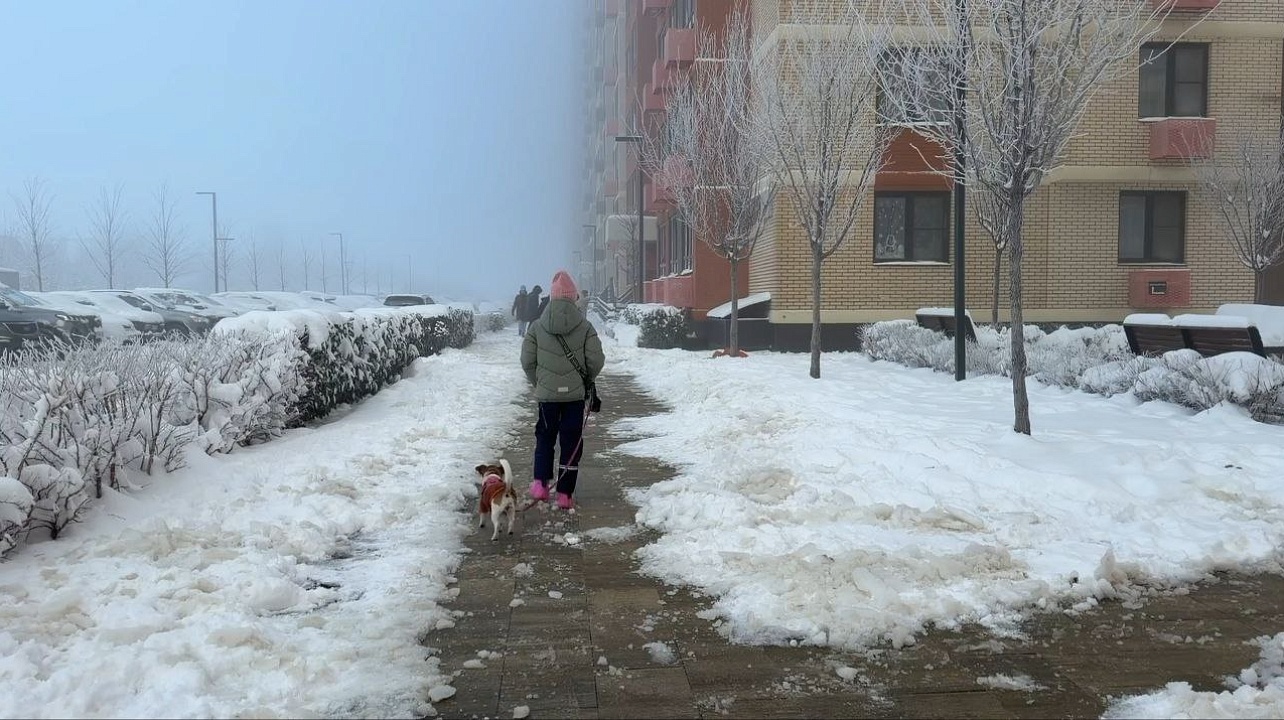 Фото: городская Дума Краснодара