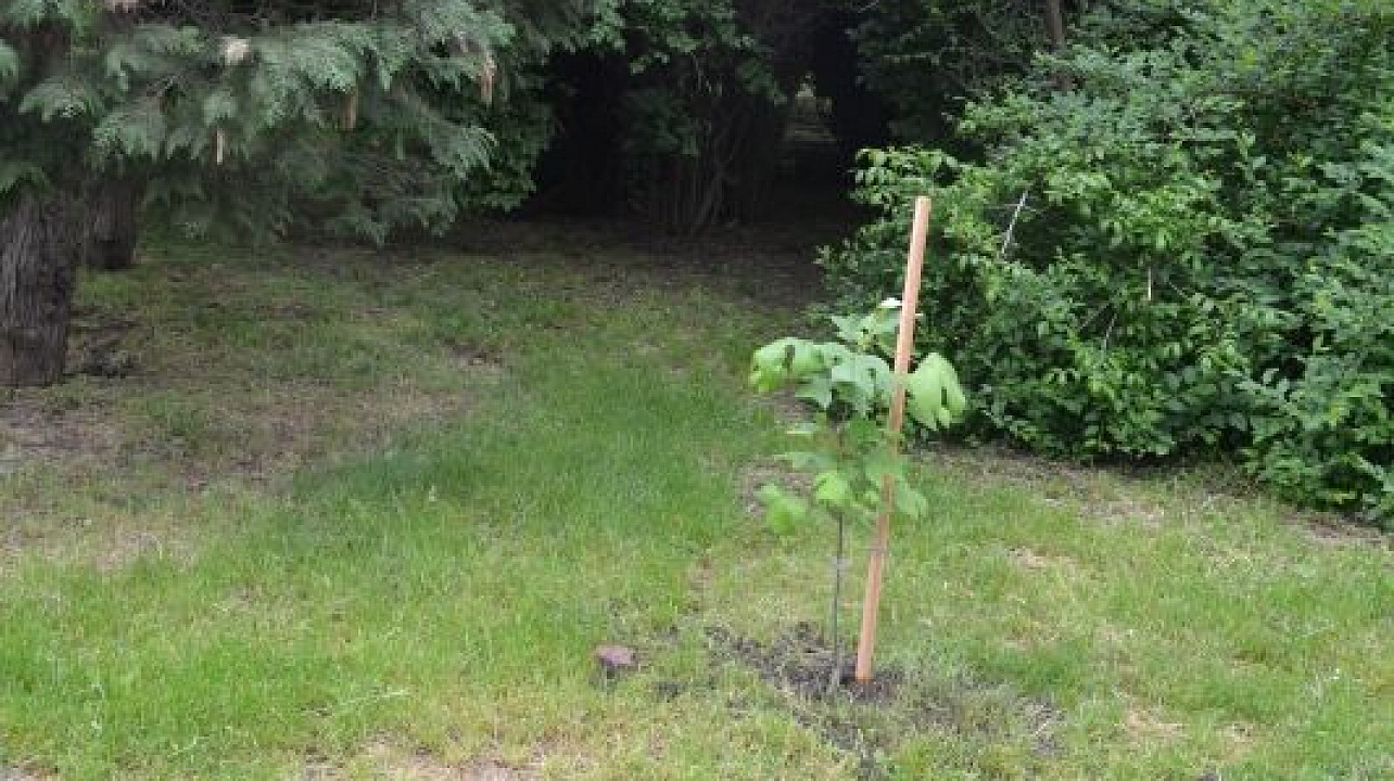 Фото: Пресс-служба администрации Краснодара