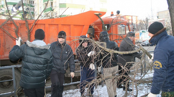 Во время субботника в Прикубанском округе вывезено 450 кубометров распиленных остатков деревьев и веток