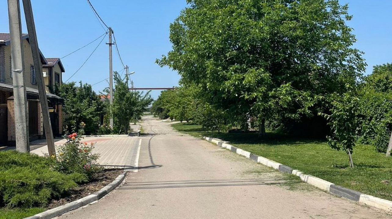 В Прикубанском округе с конца апреля и по сегодняшний день скошено 280 гектаров амброзии и другой сорной растительности.