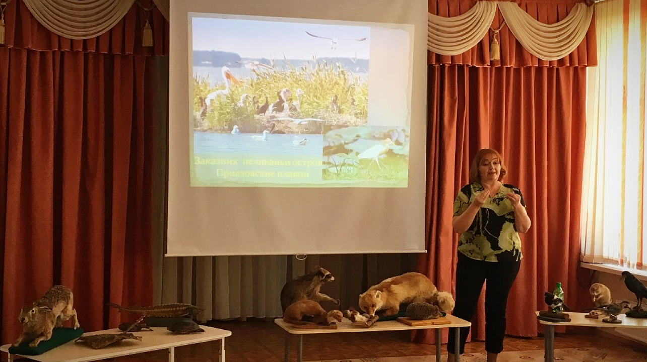 В детском саду № 233 побывала выездная  музейная выставка