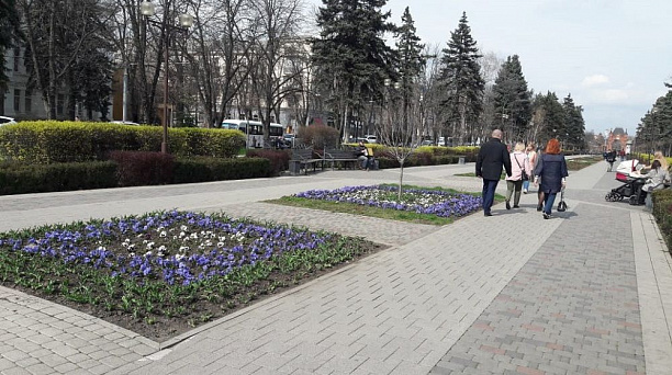В Краснодаре в 2019 г. высадят более 660 тыс. цветов