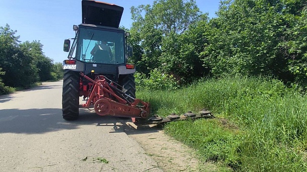 Больше 14 тысяч гектаров амброзии выкосили в Краснодаре