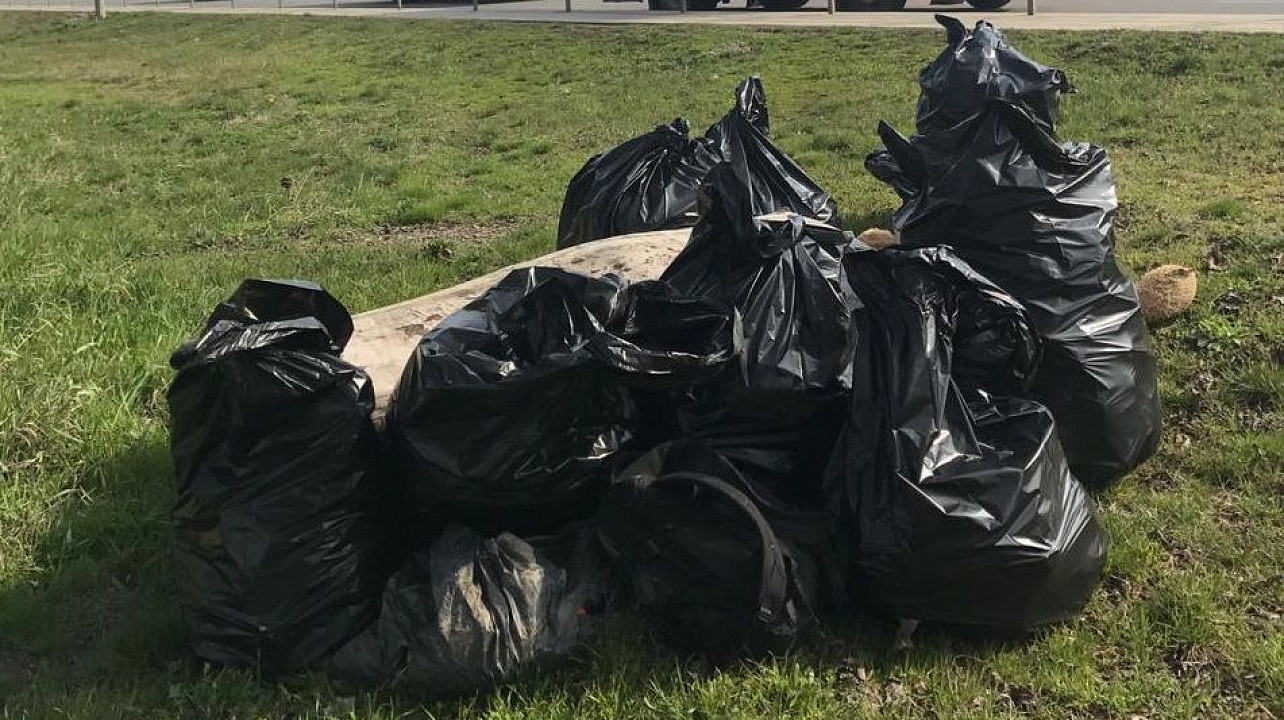 В рамках челленджа #trashtag в Краснодаре очистили от мусора участок Ростовского шоссе