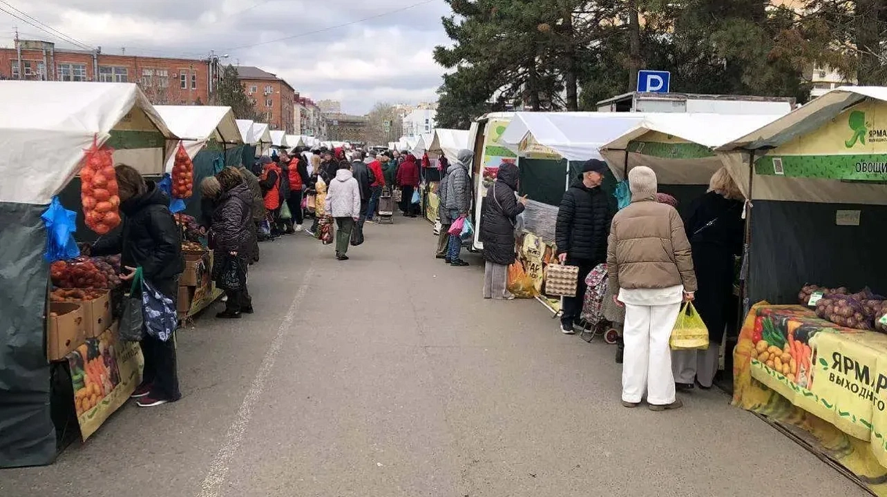 Фото: Пресс-служба администрации Краснодара