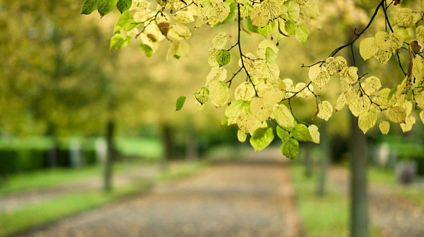 В Краснодаре представили концепцию экопоселка площадью 53 га