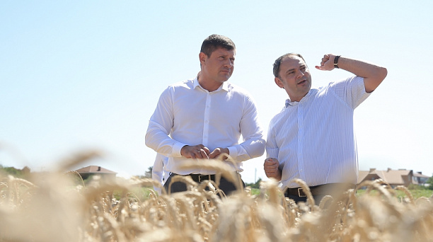 Урожайность учебно-опытного хозяйства «Кубань» этого года достигла 74,2 центнера пшеницы с гектара