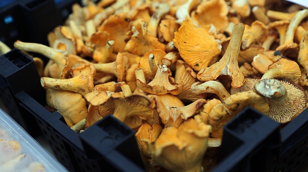 Тыкву, грибы и другую фермерскую продукцию краснодарцы могут приобрести на ярмарках выходного дня