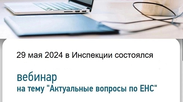 29 мая 2024 в Инспекции состоялся очередной вебинар на тему