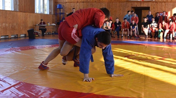 В Краснодаре пройдет международный турнир по самбо