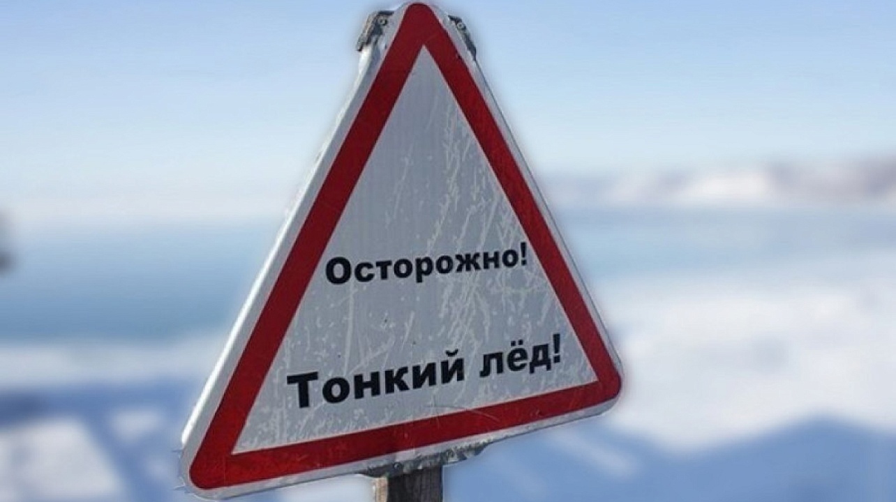 Фото: https://yantik.cap.ru