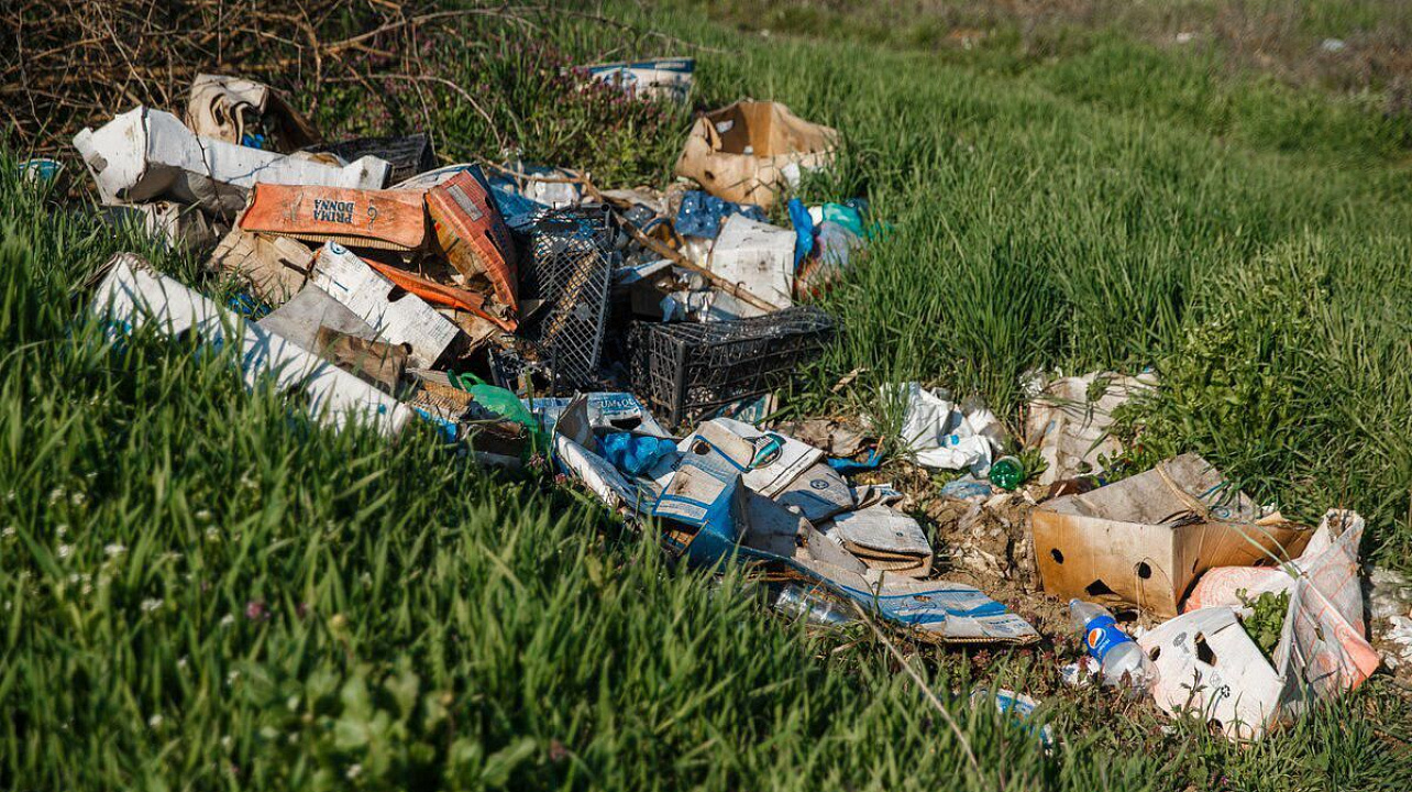 Фото: Даниил Коноплев