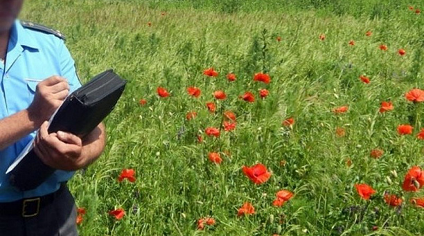 Администрация Центрального округа призывает жителей принять участие в профилактической операции «Мак-2021»