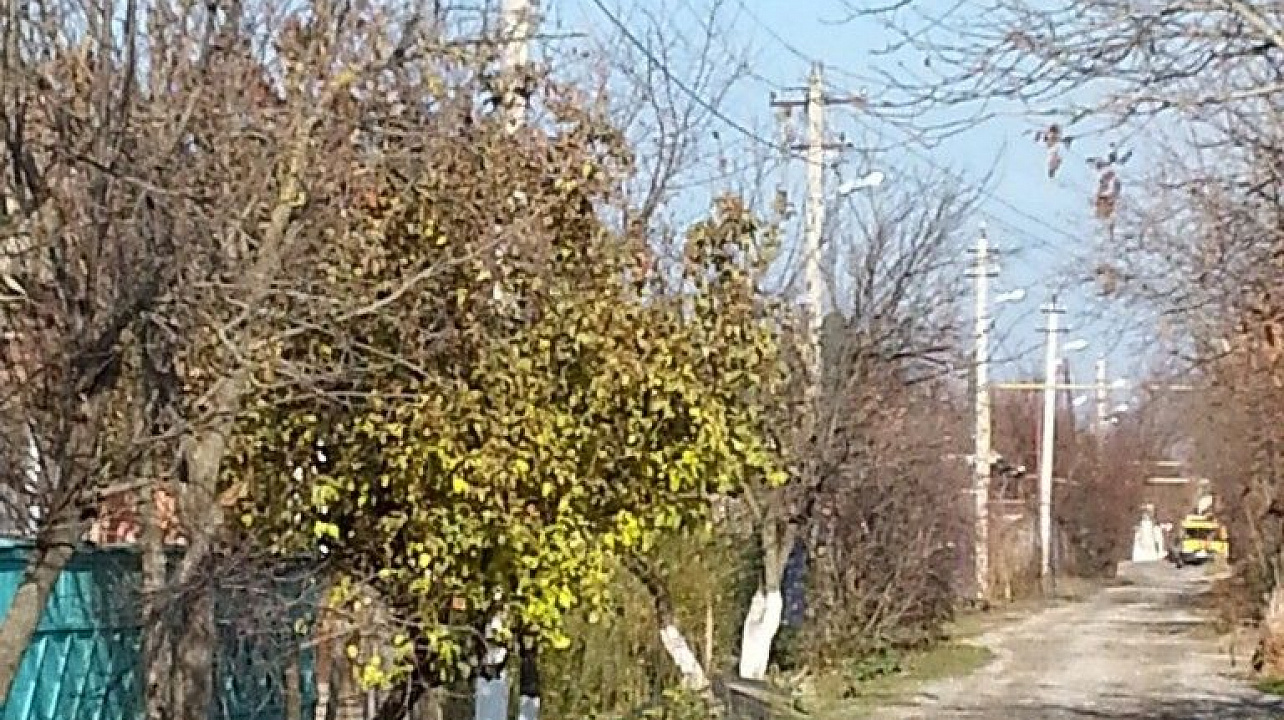 В станице Елизаветинской ввели в эксплуатацию новую линию уличного освещения