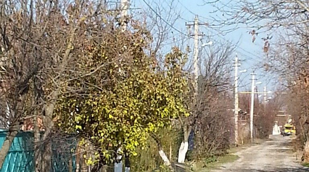 В станице Елизаветинской ввели в эксплуатацию новую линию уличного освещения