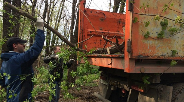 Жители Центрального округа приняли участие во Всекубанском субботнике