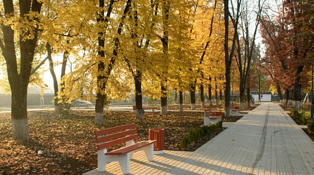 Зеленые зоны для благоустройства в 2022 году краснодарцы выберут в онлайн-режиме