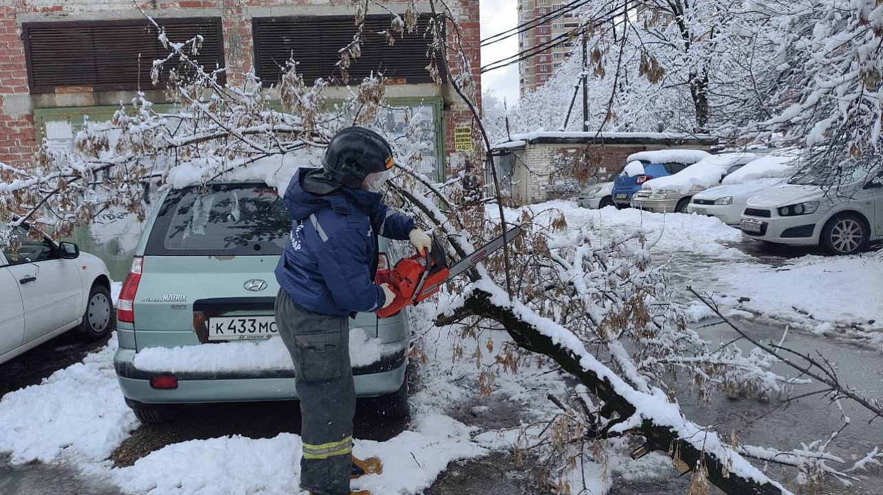 Фото: Пресс-служба администрации Краснодара
