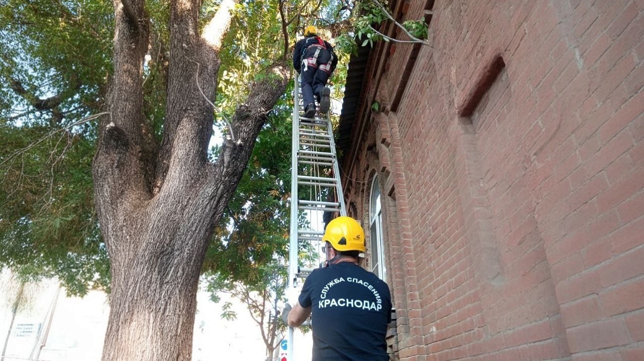 Фото: Пресс-служба администрации Краснодара