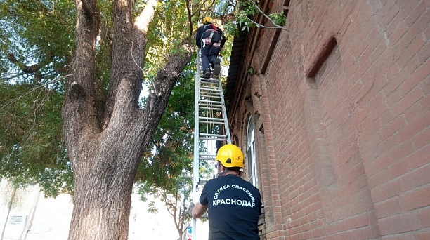 Краснодарская служба спасения ликвидировала пожары и патрулировала водоёмы