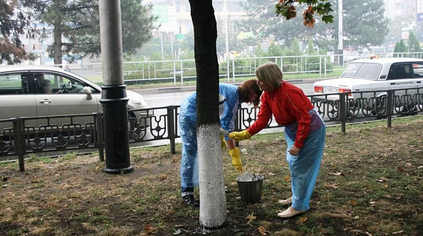 В Прикубанском округе определены лучшие предприятия по организации субботника ко Дню города