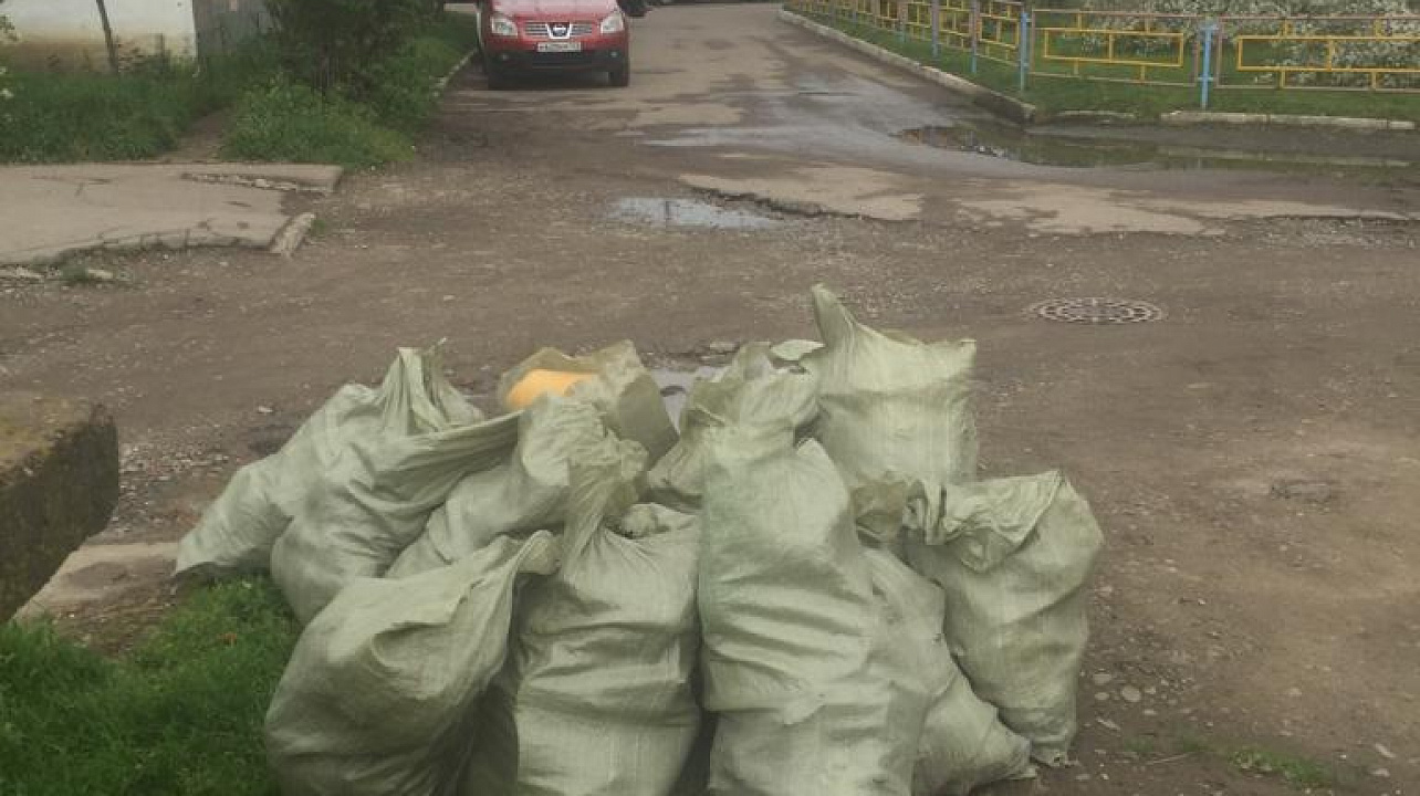 Около 30 тысяч человек вышли на общегородской субботник в Западном округе