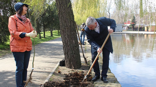Глава Западного округа Краснодара поддержал челлендж Евгения Первышова по высадке  новых деревьев