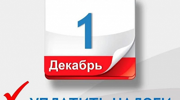1 декабря истекает срок оплаты налоговых уведомлений за 2020 год